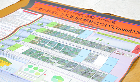 文化祭研究発表の様子